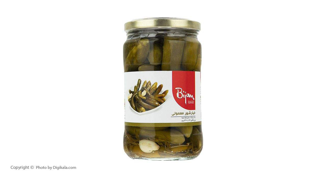 خیارشور معمولی بیژن وزن ۶۸۰ گرم - تصویر 2