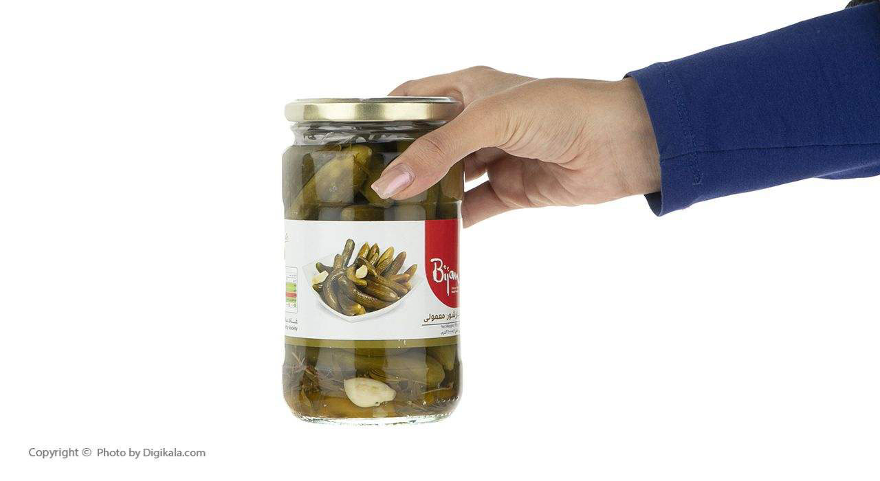 خیارشور معمولی بیژن وزن ۶۸۰ گرم - تصویر 3